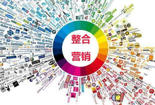 问答营销实战指南 高效策略征服百度知道，引爆网络推广效果