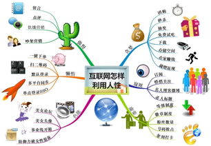 石家庄网络推广培训 从技巧学习到产品销售的有效闭环